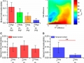 Adaptation of Thalmic 2